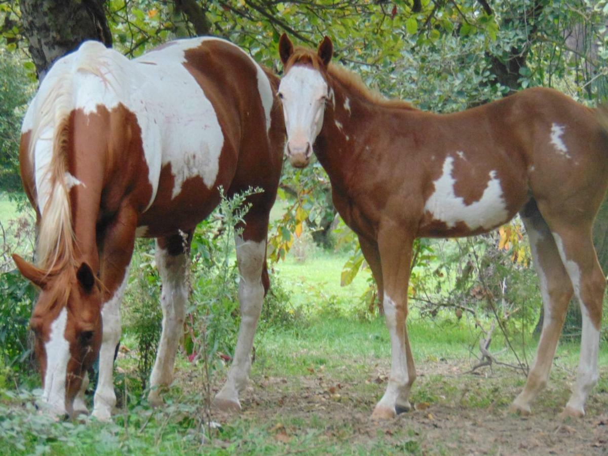 Tenuta calidarius Baia  Bagian luar foto
